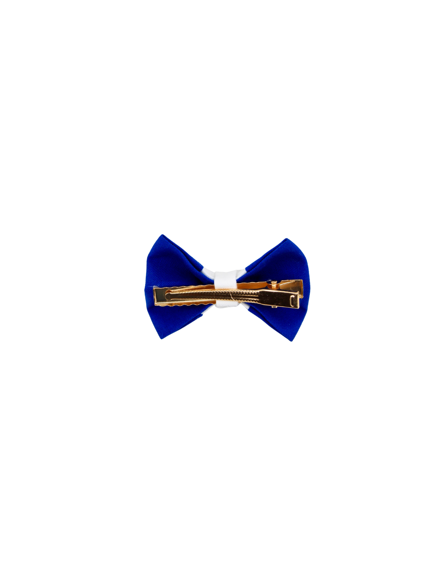 Image de diapositive