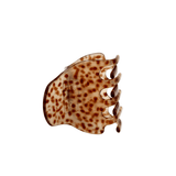 Amber Shell Mini Claw Clip